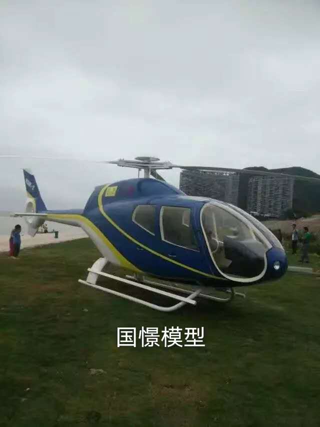 岱山县飞机模型