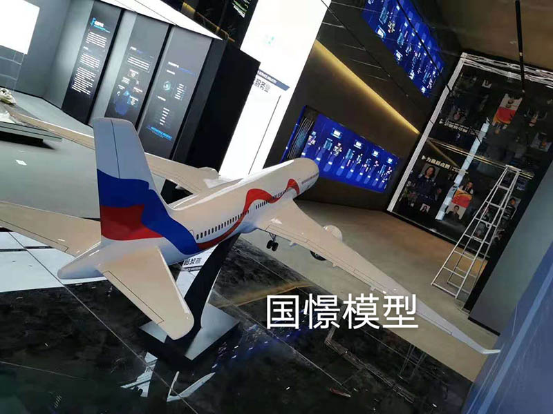 岱山县飞机模型